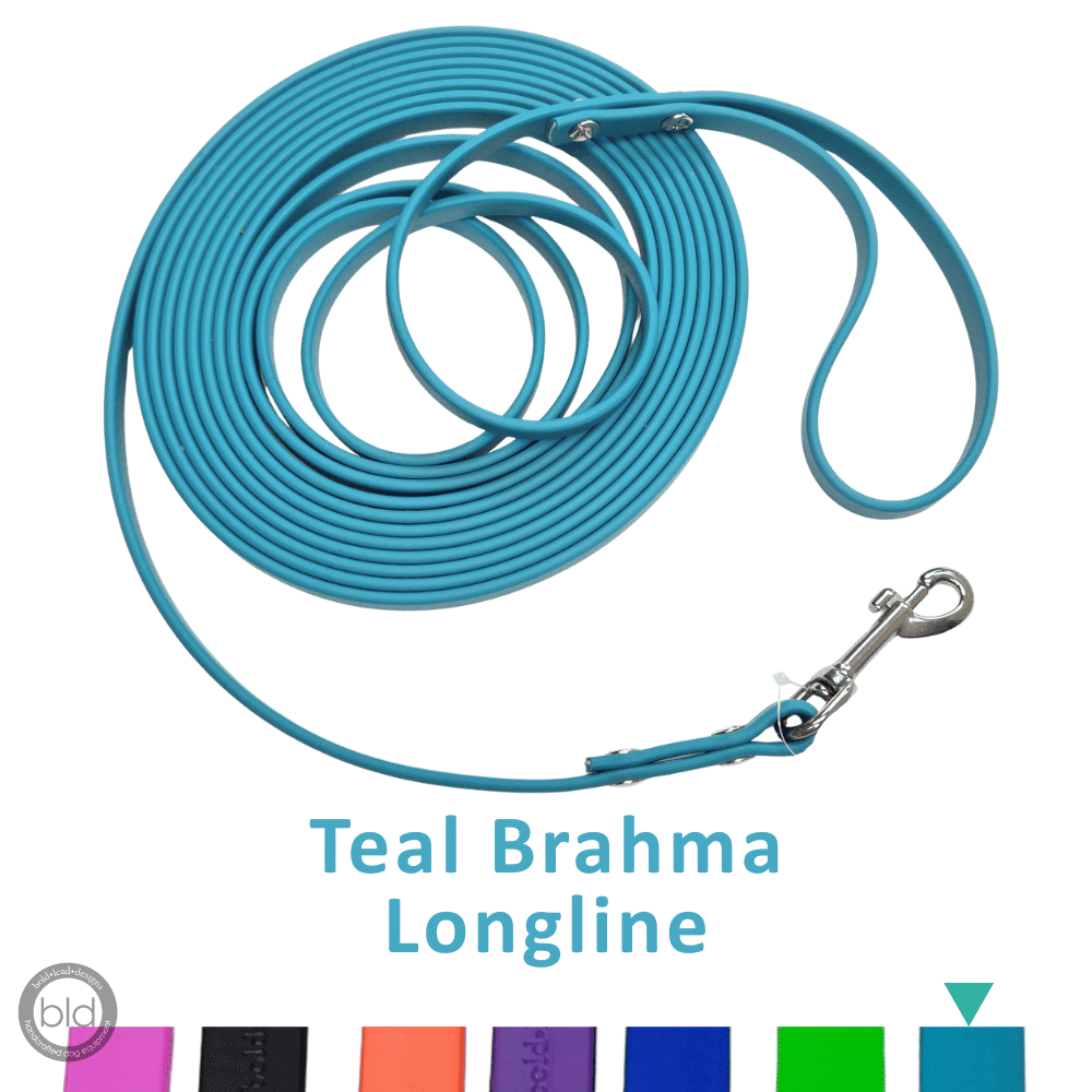 Teal Brahma Longline leash on a white background with color swatches below.