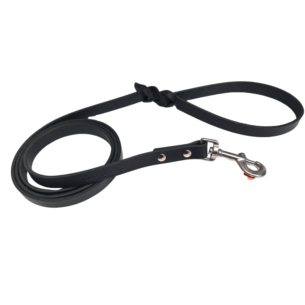 Black XL Traditional Lead