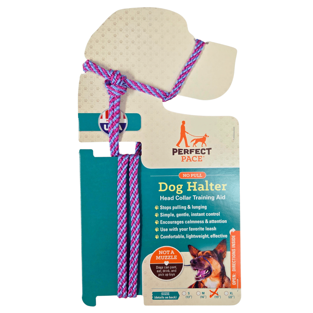 Raspberry color Perfect Pace Dog dog halter with teal packaging on a white background