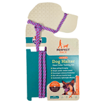 Raspberry color Perfect Pace Dog dog halter with teal packaging on a white background