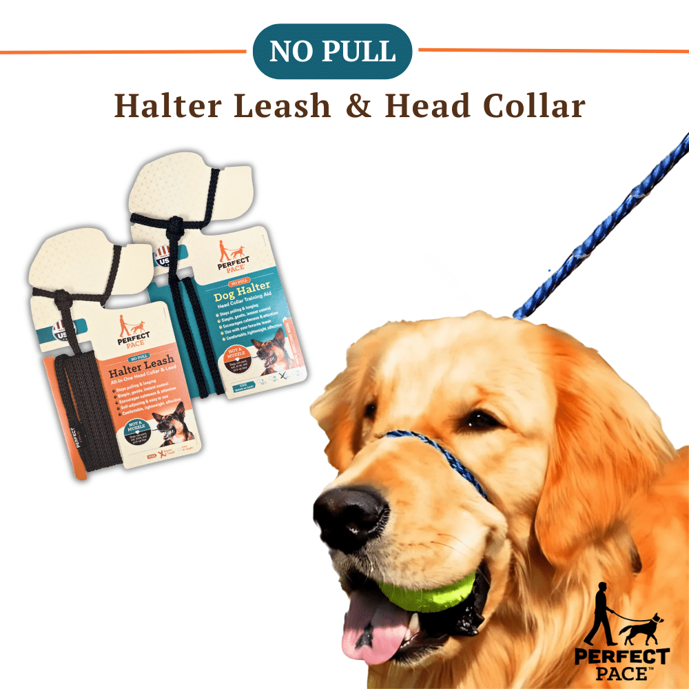 The Original Woven Perfect Pace™ NO-PULL Halter/Leash