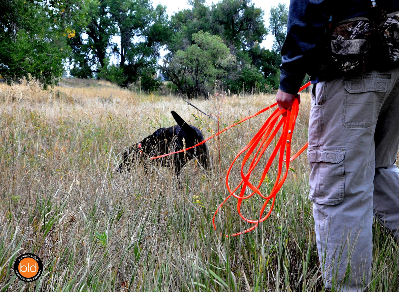 A person standing in a grassy field holds an orange longline connected to the dog in the distance