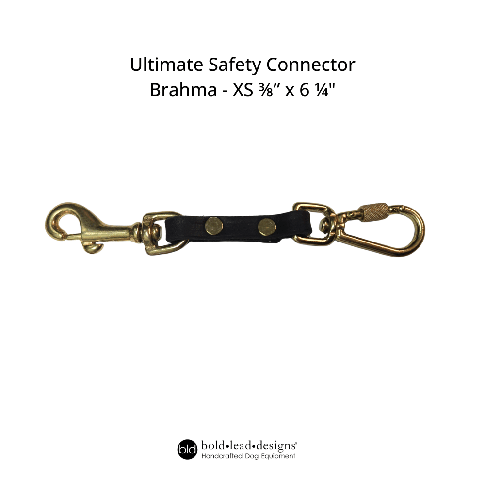 XS Ultimate Safety Connector with gold hardware and black leather strap on a white background