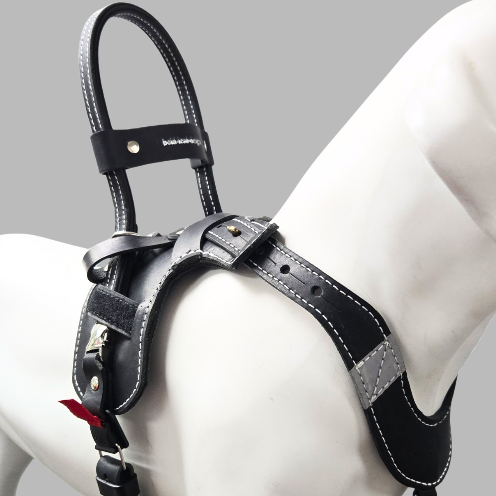 Light Assistance Harness 2.0