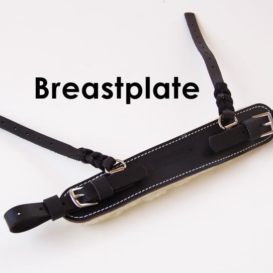 BARGAIN - BAH/MSH Breastplate