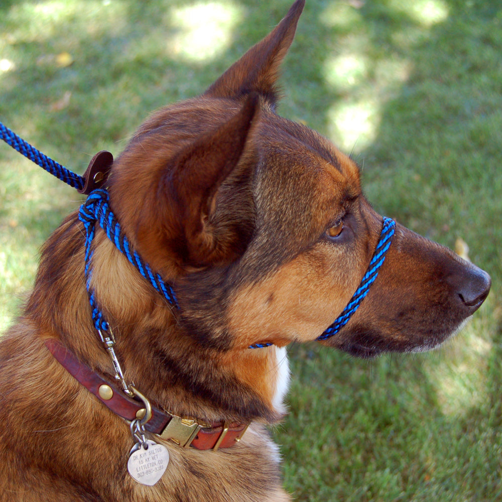 The Smooth Nylon Perfect Pace™ NO-PULL Head Collar & Halter Leash