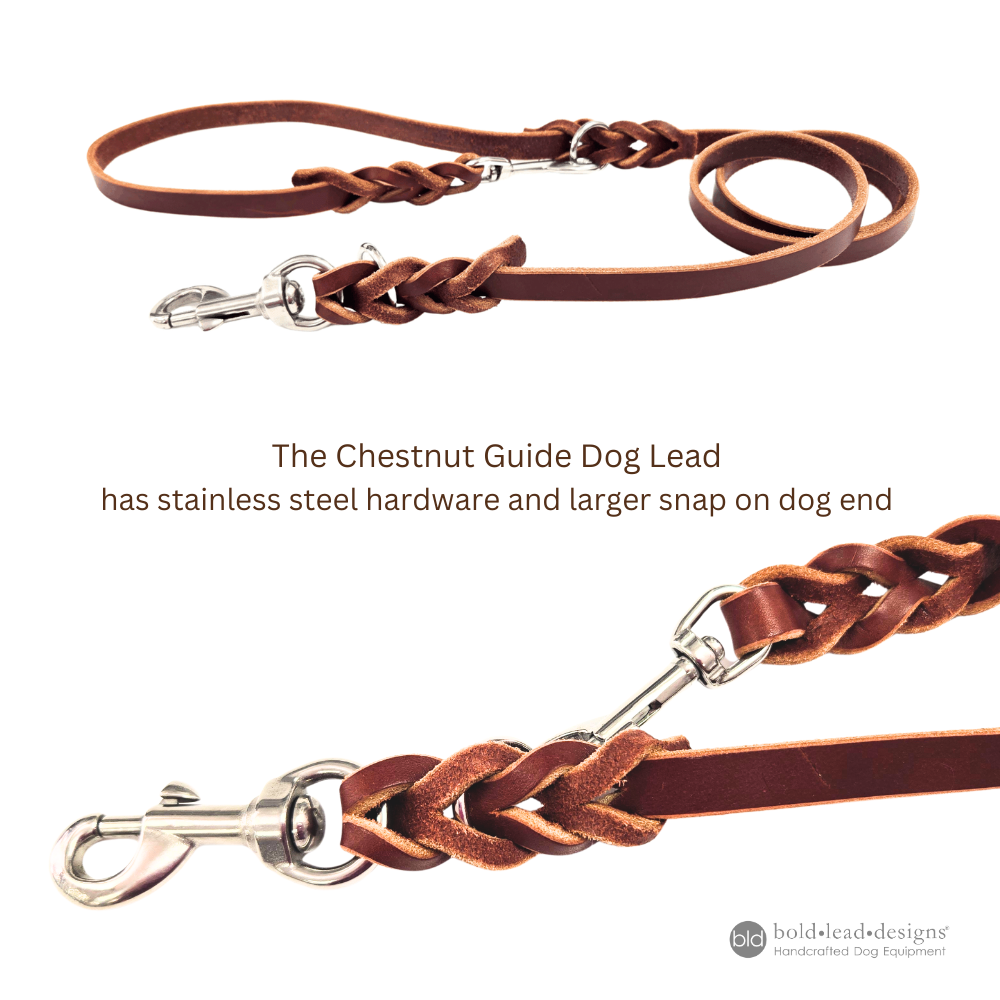 BLD's Guide Dog Lead (2-position double-ended leash)