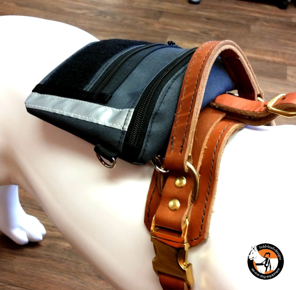 Accessory Pouch for Harness (or waist pack)