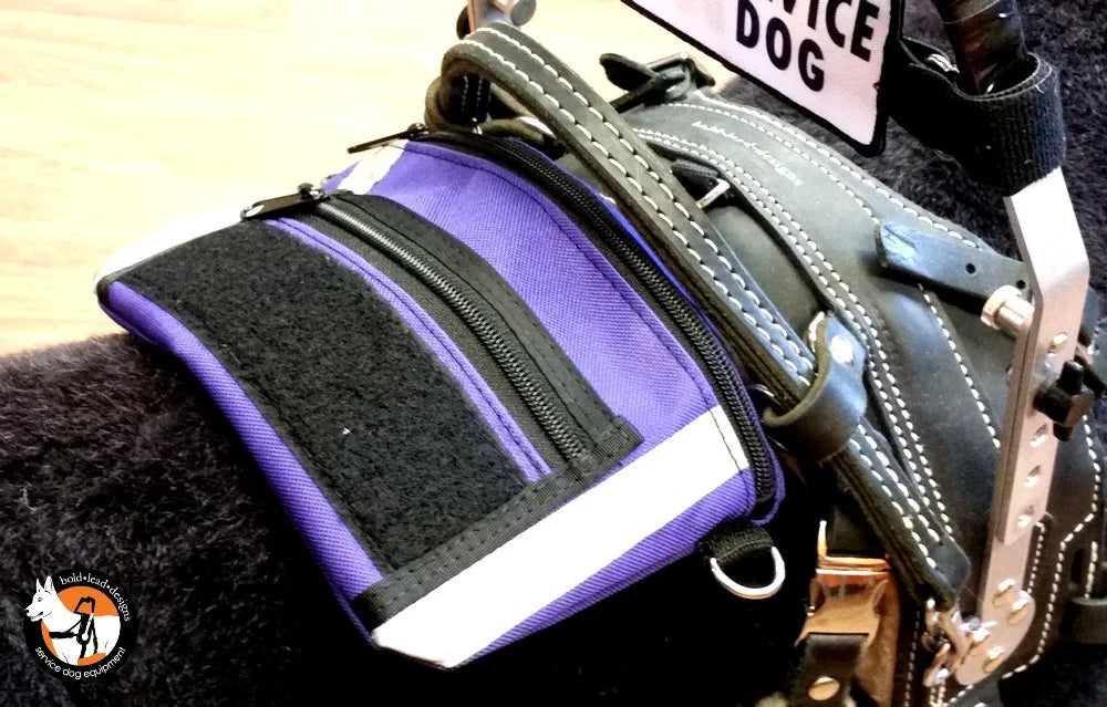 Accessory Pouch for Harness (or waist pack)