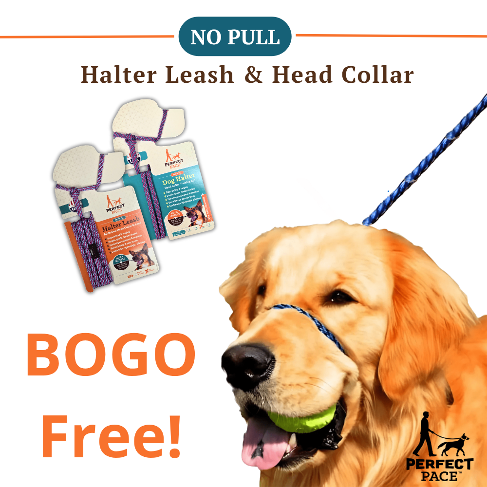 The Original Woven Perfect Pace™ NO-PULL Halter/Leash