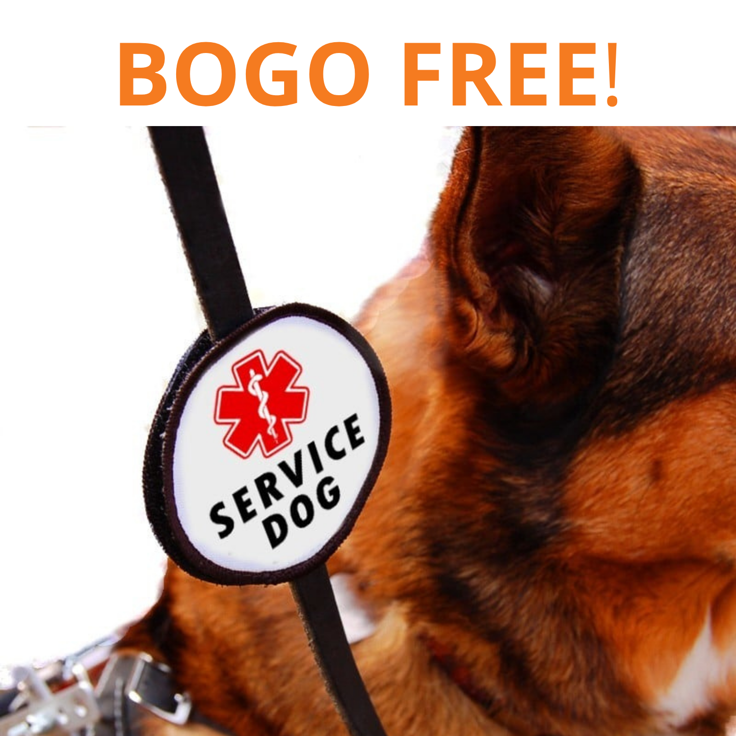 Leash Wrap for Service Dog: double-sided badge