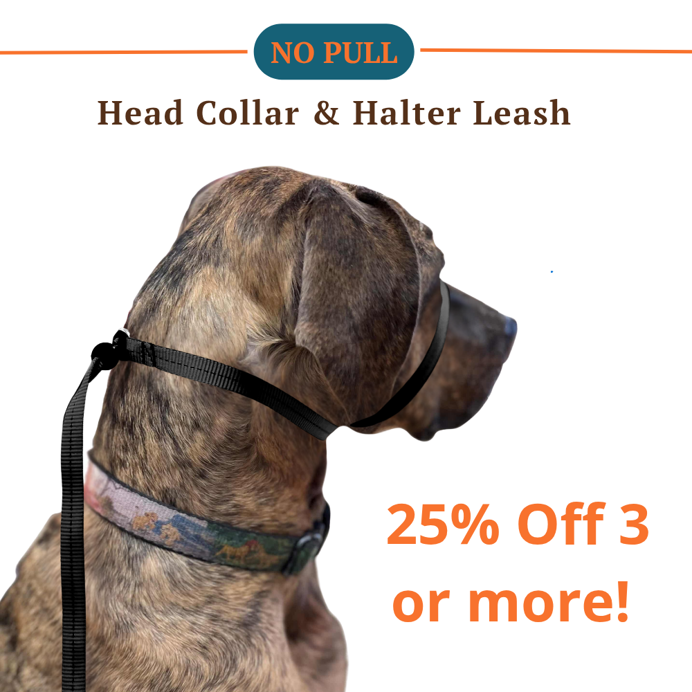 The Smooth Nylon Perfect Pace™ NO-PULL Head Collar & Halter Leash