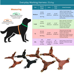 Everyday Working Harness sizing  sizing chart with measurements and examples of the harness in 4 sizes