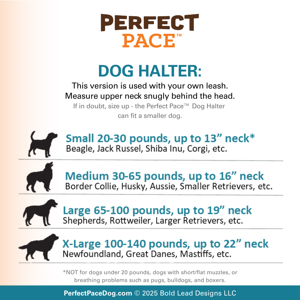 The Smooth Nylon Perfect Pace™ NO-PULL Head Collar & Halter Leash