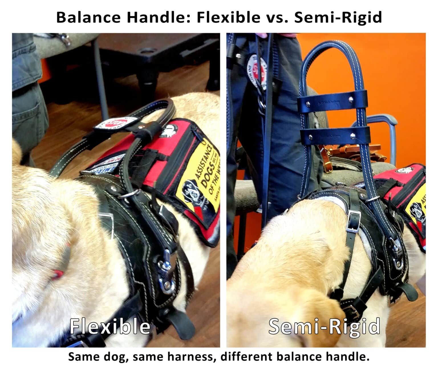 Balance Assistance Harness™ for service dogs Bold Lead Designs