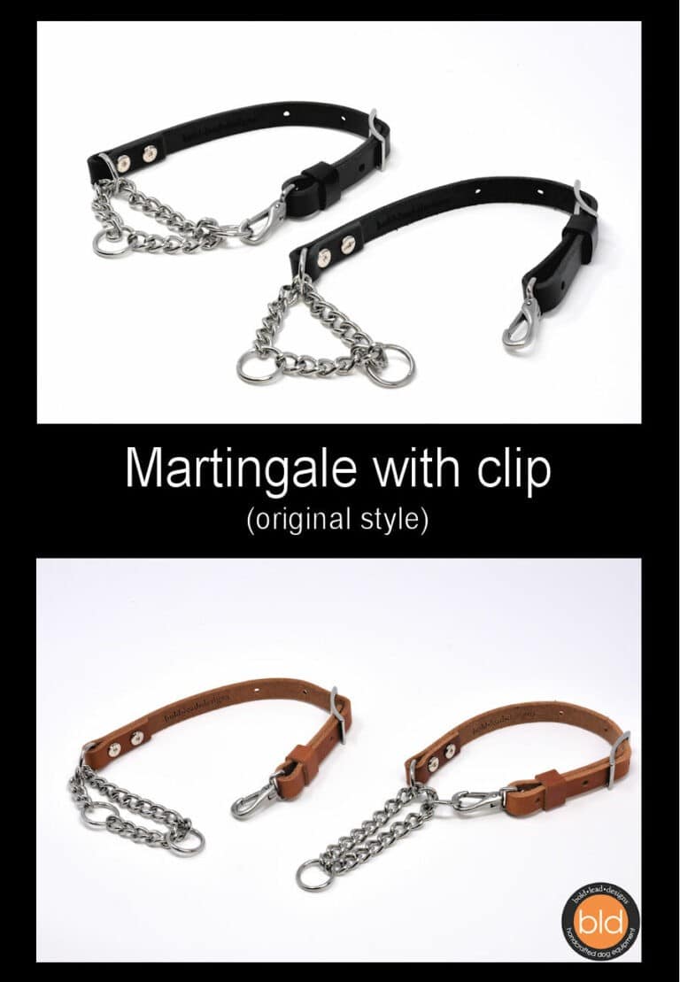 Leather Martingale Collar chain and leather adjustable limited slip Bold Lead Designs