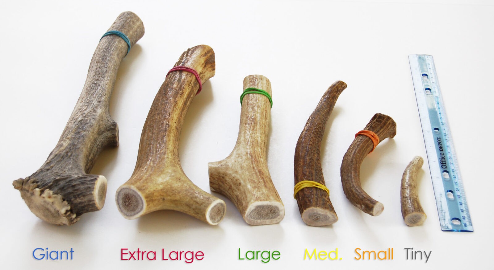 elk antlers for dogs