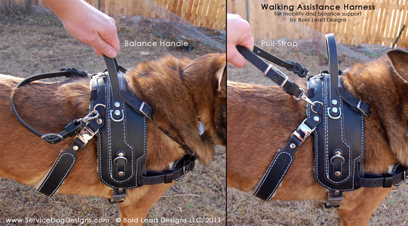 biothane harness dog