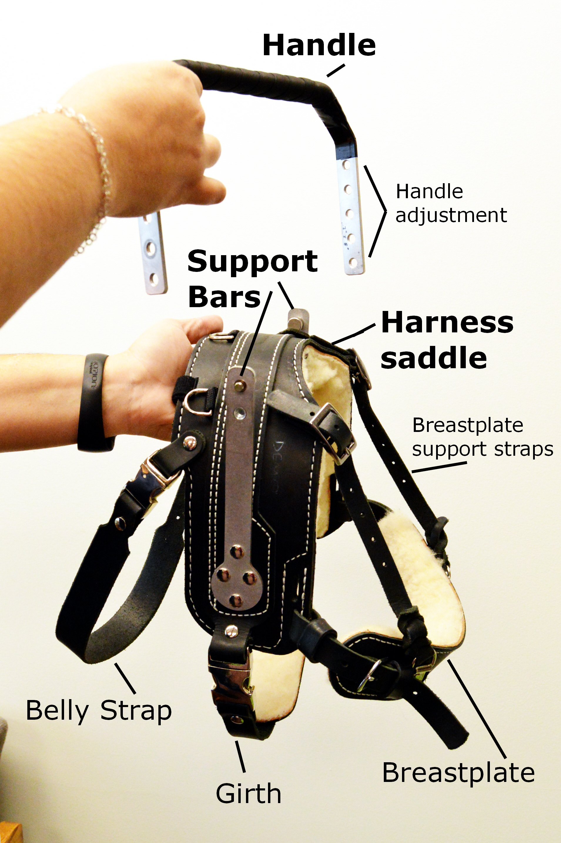 Mobility Support Harness™ for brace and balance stability assistance