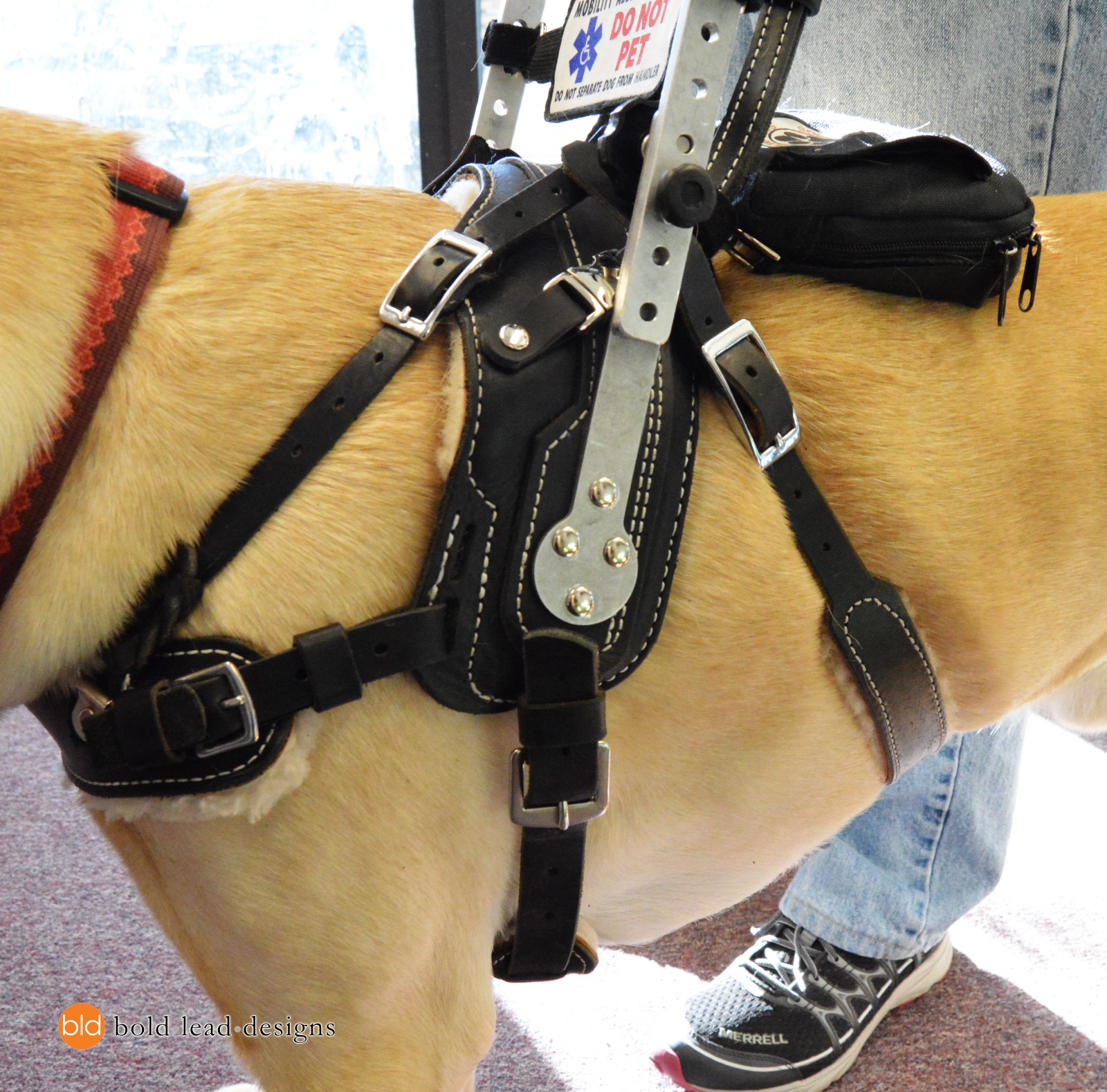 service mobility harness service mobility and balance harness service get free image about wiring diagram service mobility harness service mobility and balance harness service get free image about wiring diagram