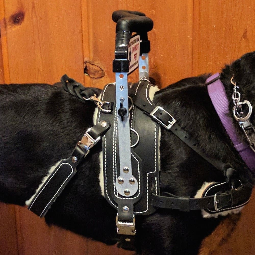 Mobility Support Harness™ for brace and balance stability assistance