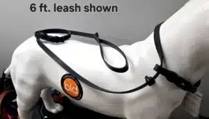 Black leather collar and leash combination shown as a slip-collar on a mannequin dog, made with no metal shown in 6 foot long version with a braid 2 ft. below the handle.