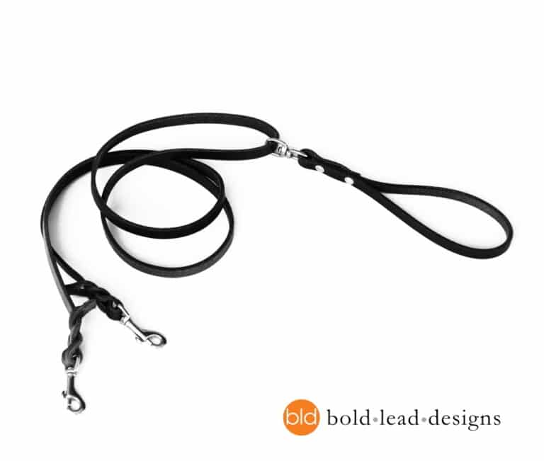TwoPoint Lead doubleended leash for walking harnesses Bold Lead