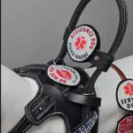 Round "Leash Wrap" patches shown on the handle and top of the LAH