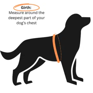 Girth measuring diagram. Measure around the deepest part of your dog's chest. Graphic of dog standing with a circle around the dog's body, just behind the front legs.